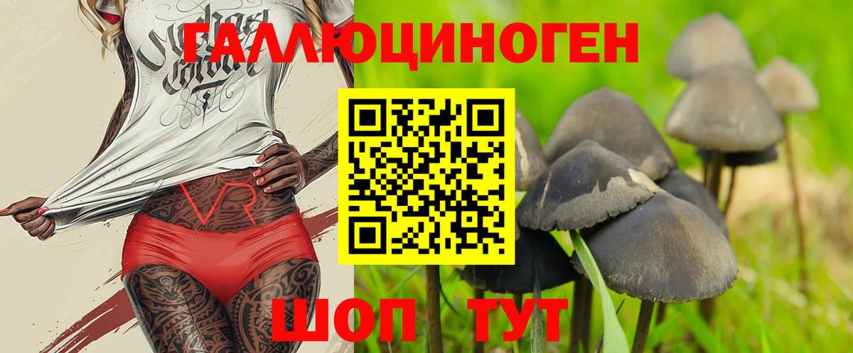 где купить наркотик  Галлюциногенные грибы Psilocybe  Вход с VPN  Десногорск 
